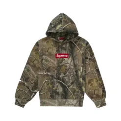 Bluza z kapturem Box Logo (FW25) Realtree AP Camo