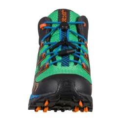 Buty Raptor II Mid GTX