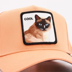 Cool Cat Czapki i Czapki