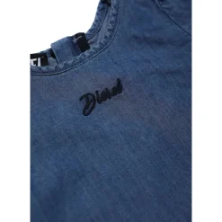 Delasib Dress