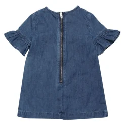 Delasib Dress