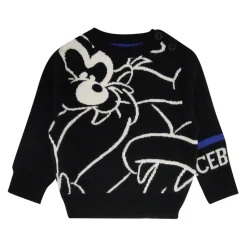Dzianinowy sweter z okrągłym dekoltem