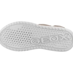 Illuminus