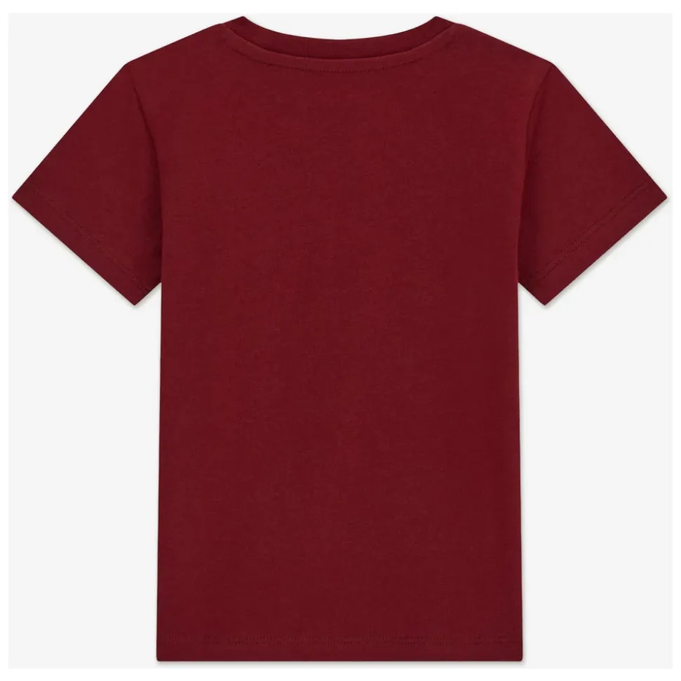 Koszulka z logo Misia Teddy