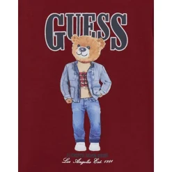 Koszulka z logo Misia Teddy