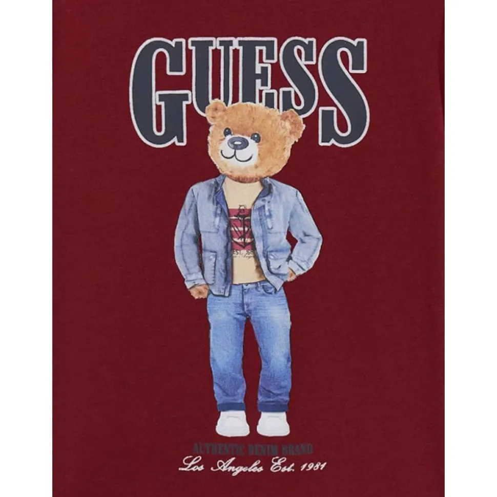 Koszulka z logo Misia Teddy