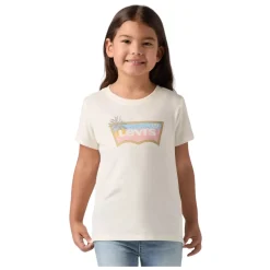 Ombre Batwing Tee