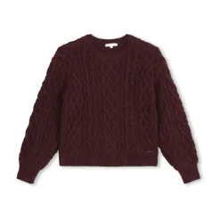 Sweter Bordeaux Pull