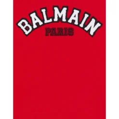 Sweter Varsity