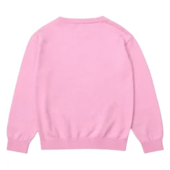 Teddy Bear Sweater