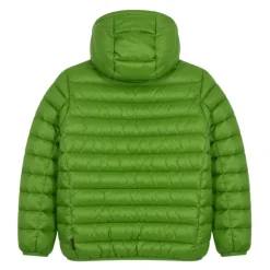 Winterjackets