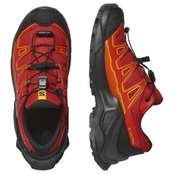 X Ultra GTX
